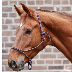 Kantar sznurkowy WALDHAUSEN  / 50411