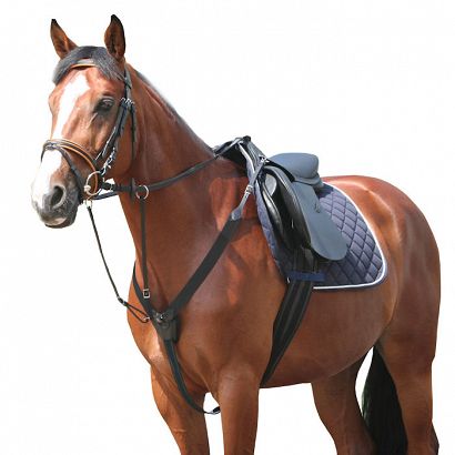  Elastic breastplate with running martingale DAW-MAG leather - elastic / 13020