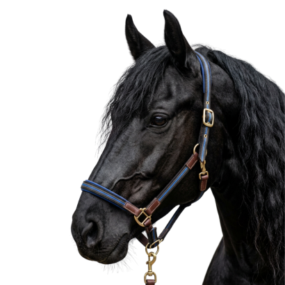 Web Halter MUSTANG Lux, Blue-Black / MADE IN POLAND
