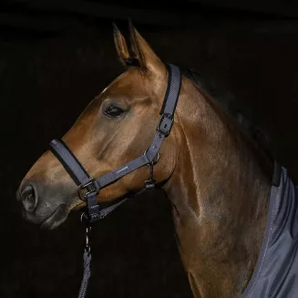 Headcollar ESKADRON Pin Buckle, Essence / 410173815 - 2