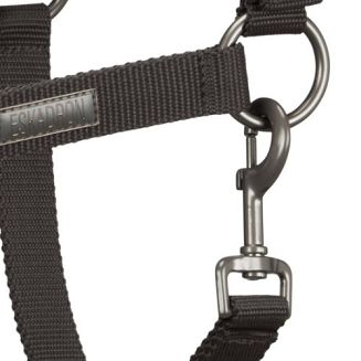 Kantar ESKADRON Pin Buckle, Essence / 410173815 - 5