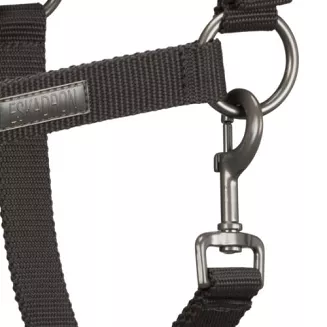 Headcollar ESKADRON Pin Buckle, Essence / 410173815 - 5
