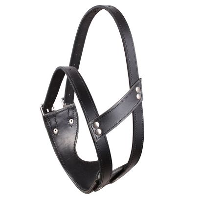 Leather Cribbing Collar DAW-MAG / 36050