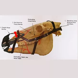 0 HORSEWARE Ogłowie  anatomiczne RAMBO MICKLEM Original Competition