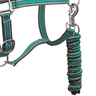 Kantar taśmowy z uwiązem Y Calipso podszyty futerkiem, popiel-zielony / 0329 - 5