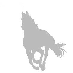 002 koń galop srebrny