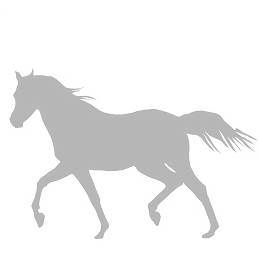 004 koń kłus srebrny