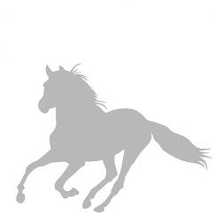 005 koń galop srebrny