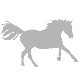 006 koń galop srebrny