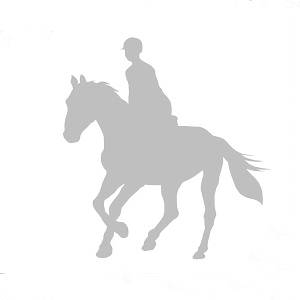 007 koń z jeźdźcem srebrny