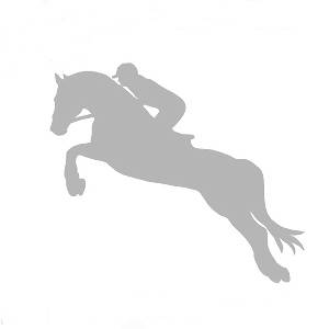 012 koń z jeźdźcem - wkkw srebrny