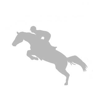 013 koń z jeźdźcem - skoczek srebrny