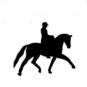 014 koń z jeźdźcem - ujeżdżenie czarny