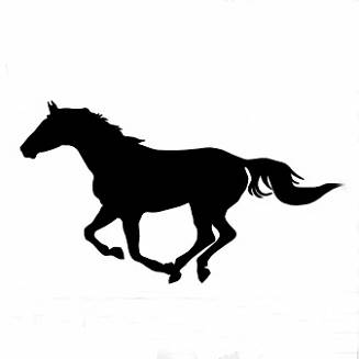 015 koń galop czarny