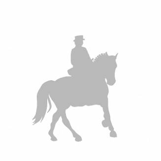 017 koń z jeźdźcem - damskie siodło srebrny