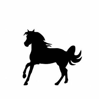 019 koń galop czarny