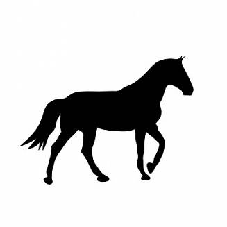 026 Koń stępujący -czarny