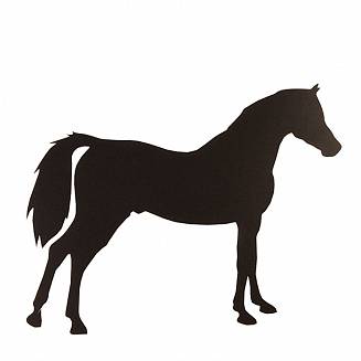 025 Koń stojący czarny