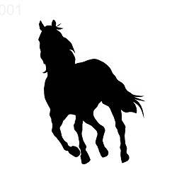 001 koń galop czarny