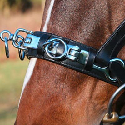 COVALLIERO Kawecan skórzany Exclusive / 3286