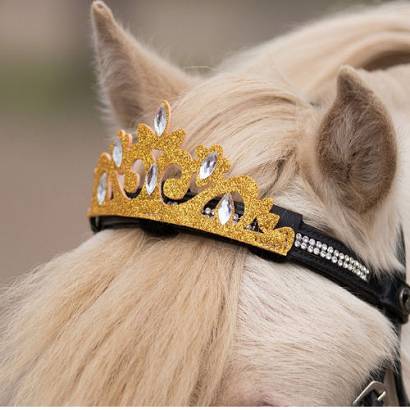 QHP Crown horse / 8361