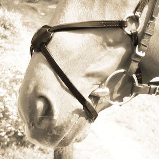 Ważne jest prawidłowe zapięcie górnych pasków, które powinny znajdować się dwa palce powyżej dolnego wyrostka grzebienia twarzowego.