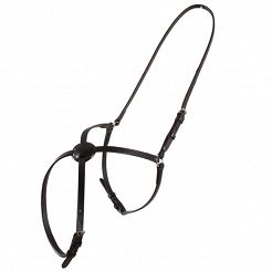 37B  DAW-MAG Figure-8 noseband