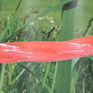 Plecionka ogrodzeniowa KERBL Basic 250 m, pomarańczowa / 11-0550 - 2