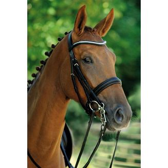 SCHOCKEMÖHLE Double bridle BRISBANE - 2