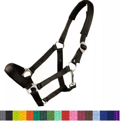 Tape halter MUSTANG padded / 0002