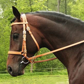 DAW-MAG Ogłowie (kantar) rajdowe / 140311 - kolor naturalny