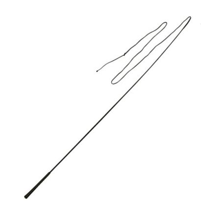 Lunging whip COVALLIERO / 32365