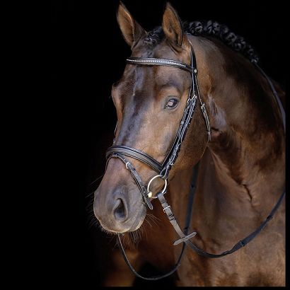 Bridle HKM ECONOMIC / 6896