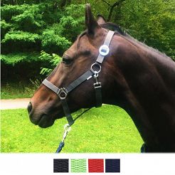 HKM Headcollar ECONOMY 