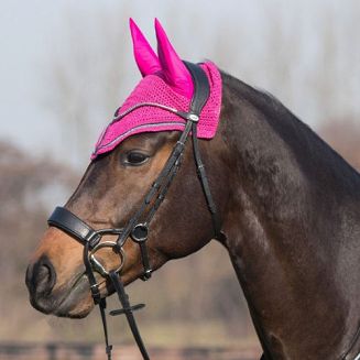 QHP Bridle SEDNA / 9064 - 4