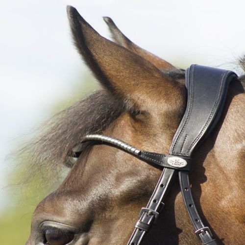 QHP Bridle SEDNA / 9064