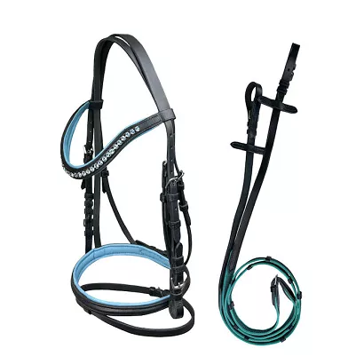 Leather bridle for pony  Abigail Y Black and Turquoise