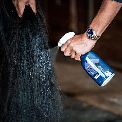 Preparat pielęgnacyjny do sierści CAVALOR Star Shine -  500ml / 8219340