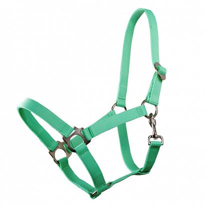 Tape halter simple MUSTANG - 35 mint /0001