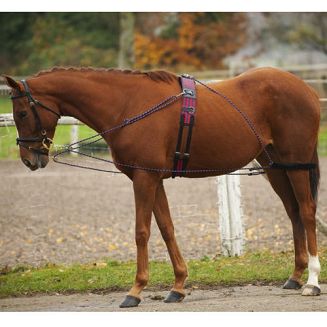 Mocowany do pasa do lonżoania i do popręgu za pomocą karabińczyków