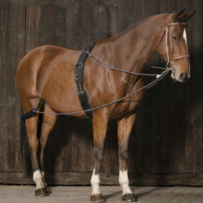 Lunging training system NORTON / 306423