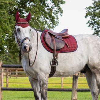 Czaprak wszechstronny VS QHP Florence Burgundy / 3148 - 2