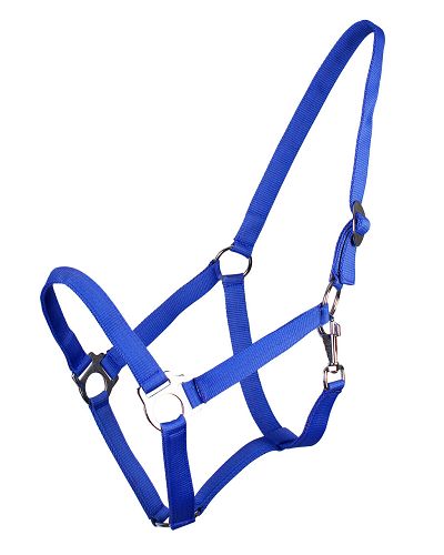 Halter QHP Slide , Cobalt Blue / 1040