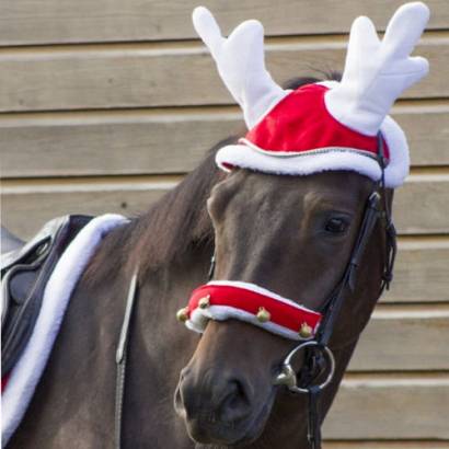 Christmas ear cap in reindeer’s antlers shape QHP RENIFER / 5091