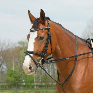 BUSSE Thiedemann traning set / 128105 - 2