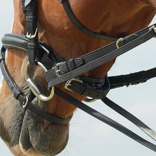 BUSSE Thiedemann traning set / 128105