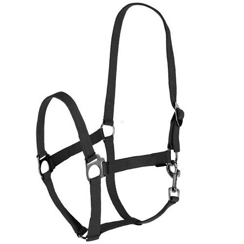 Webbing Halter COVALLIERO Hippo Black / 32301