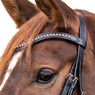 Ogłowie skórzane STAR Rosemary, nachrapnik kombinowany / 8142601 - 3