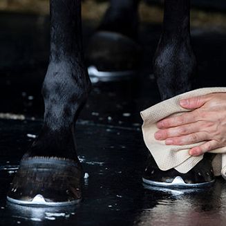 Cornucrescine Original Hoof Ointment CARR & DAY & MARTIN - 500ml / HO102 - 3