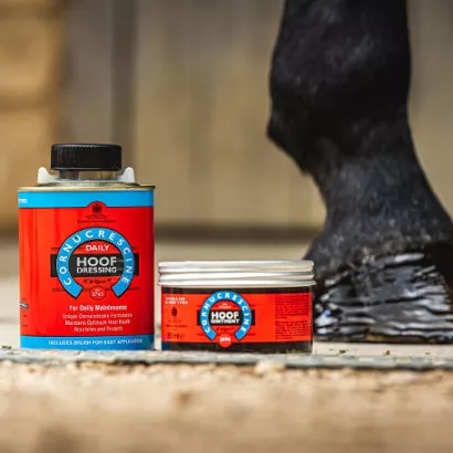 Pasta do koronki CARR & DAY & MARTIN Cornucrescine Original Hoof Ointment - 500ml / HO102